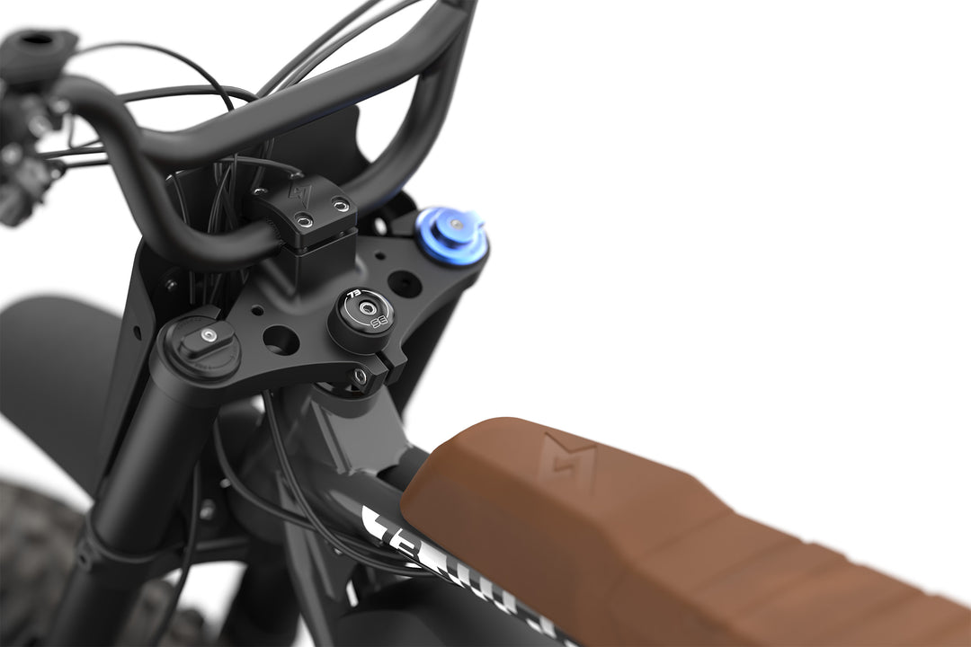 SUPER 73-R ADVENTURE PALLADIUM Edición especial