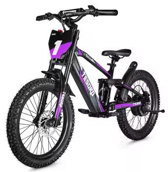 Bici Eléctrica 18 - Motor 350W 36V con Doble Suspensión