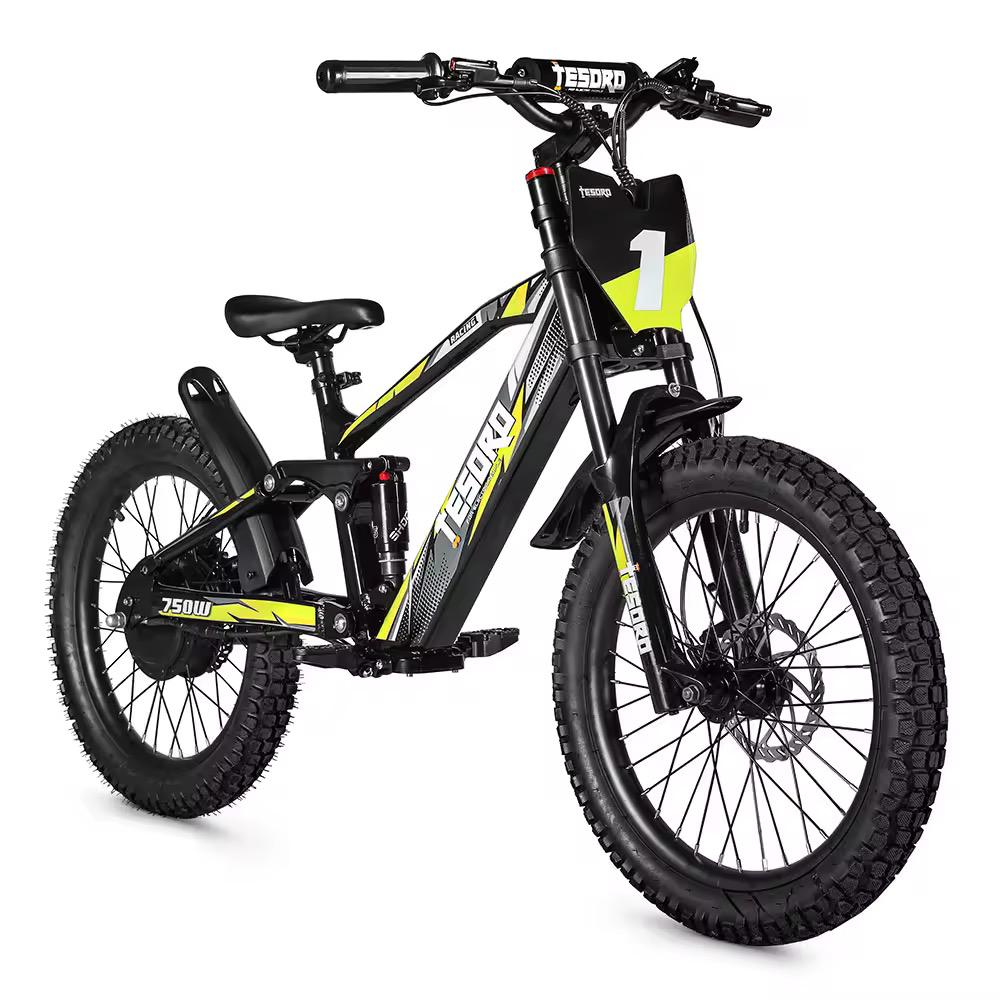 Bici Eléctrica 18 - Motor 350W 36V con Doble Suspensión