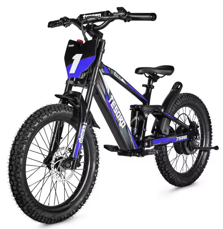 Bici Eléctrica 18 - Motor 350W 36V con Doble Suspensión