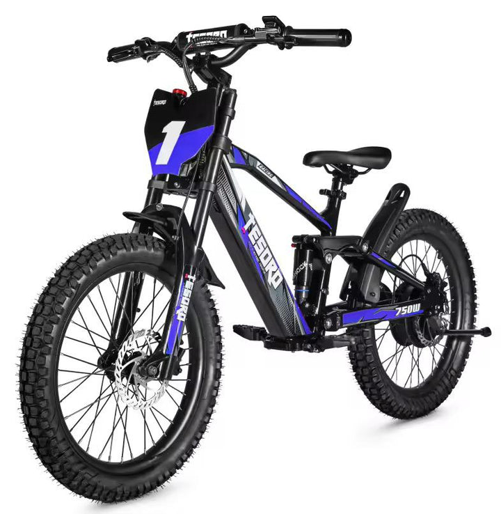 Bici Eléctrica 18 - Motor 350W 36V con Doble Suspensión