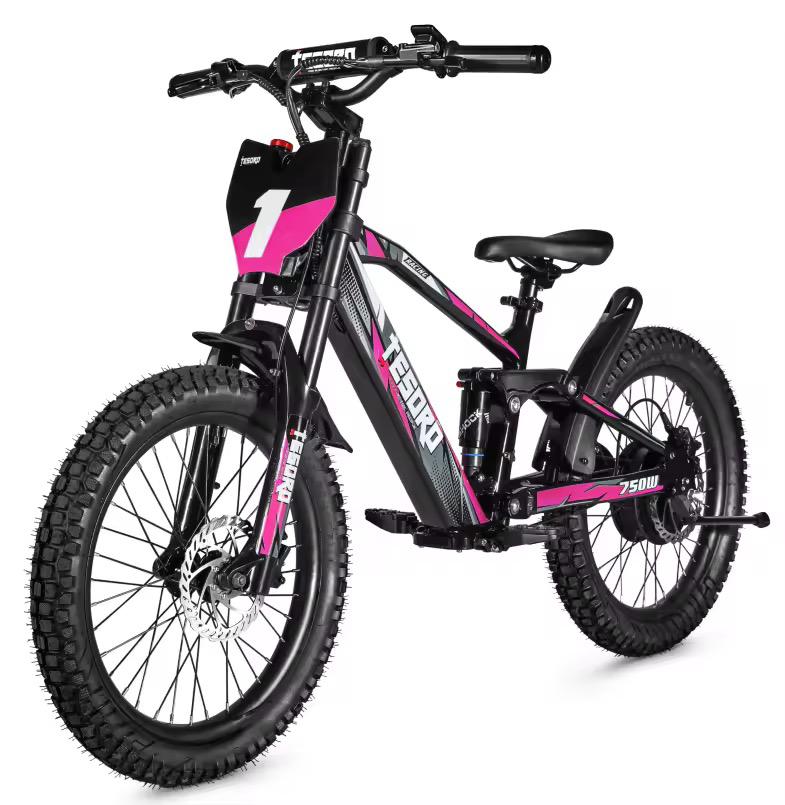 Bici Eléctrica 18 - Motor 350W 36V con Doble Suspensión
