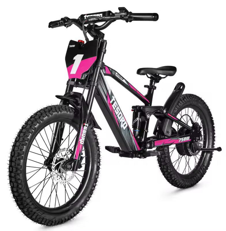 Bici Eléctrica 18 - Motor 350W 36V con Doble Suspensión